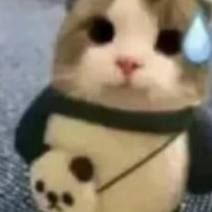 Meet your Posher, Nuam